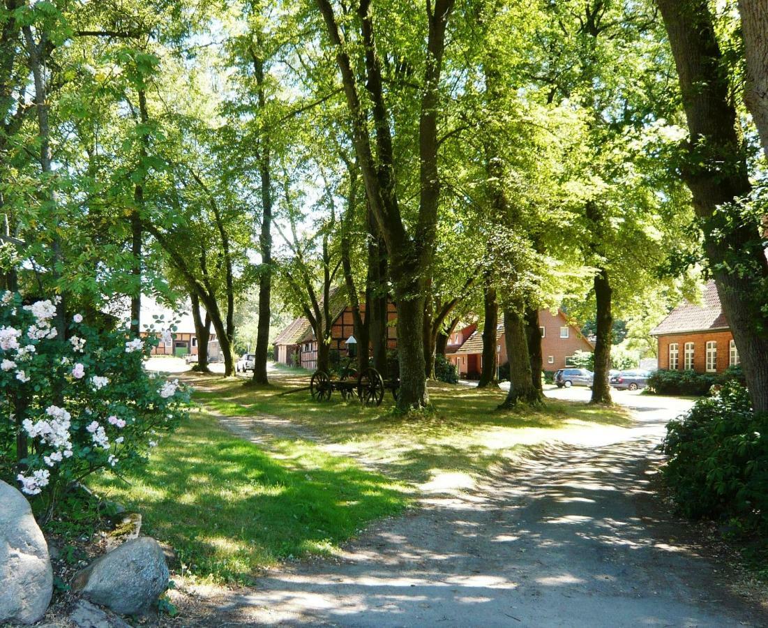 Ferienpension Lindenhof - Ferienwohnungen In Der Lueneburger Heide Marxen am Berge Dış mekan fotoğraf