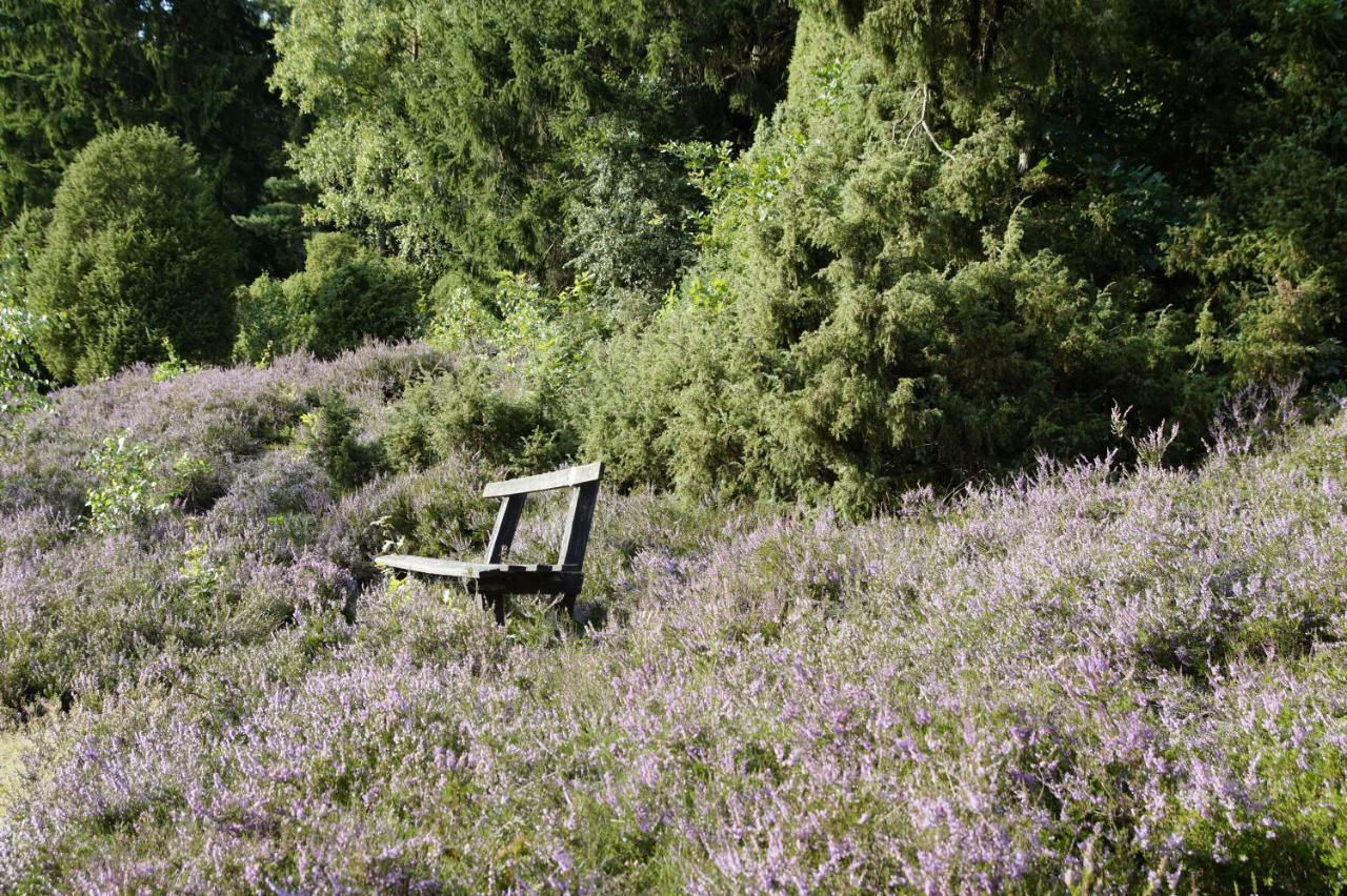 Ferienpension Lindenhof - Ferienwohnungen In Der Lueneburger Heide Marxen am Berge Dış mekan fotoğraf