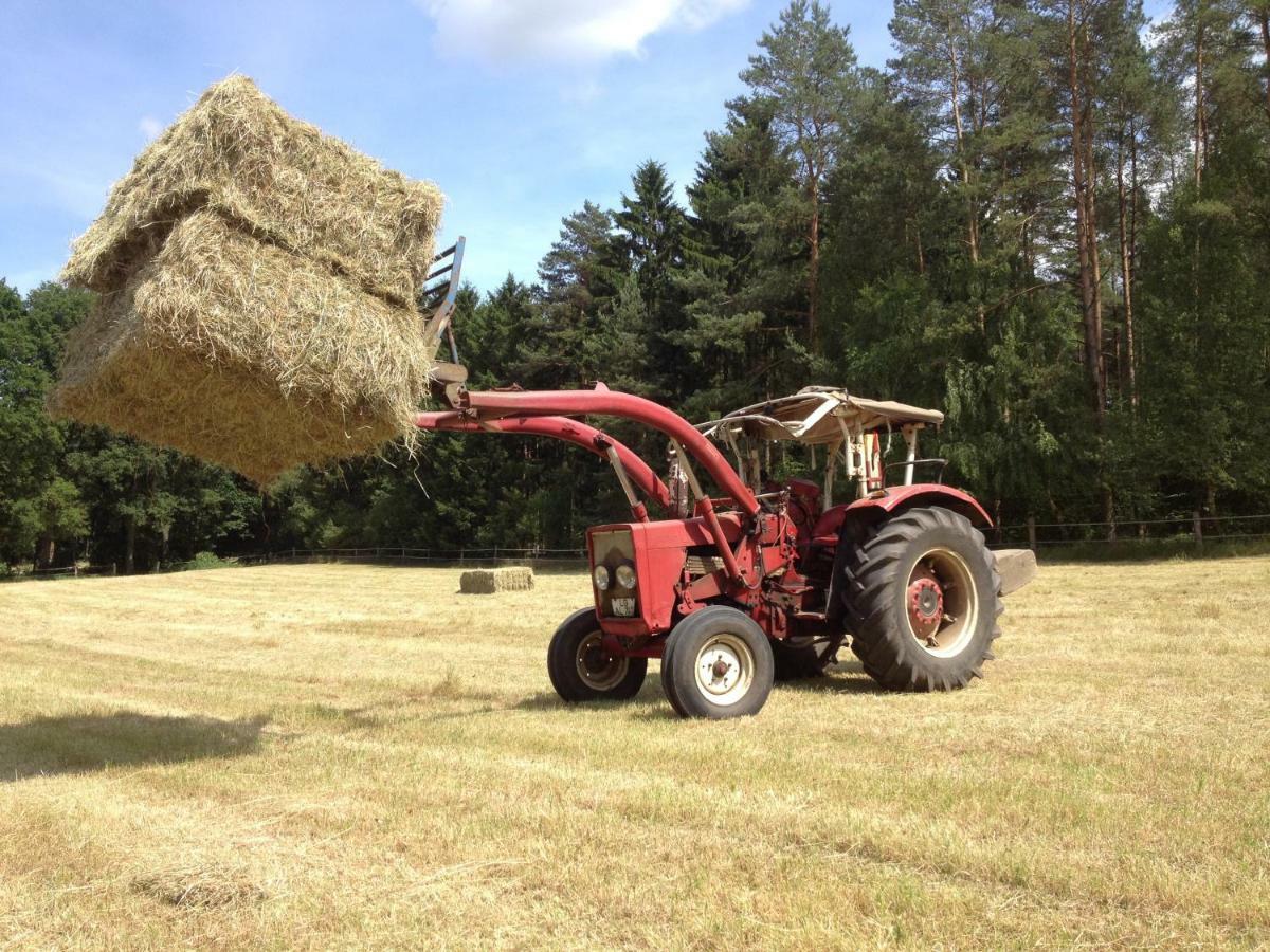 Ferienpension Lindenhof - Ferienwohnungen In Der Lueneburger Heide Marxen am Berge Dış mekan fotoğraf